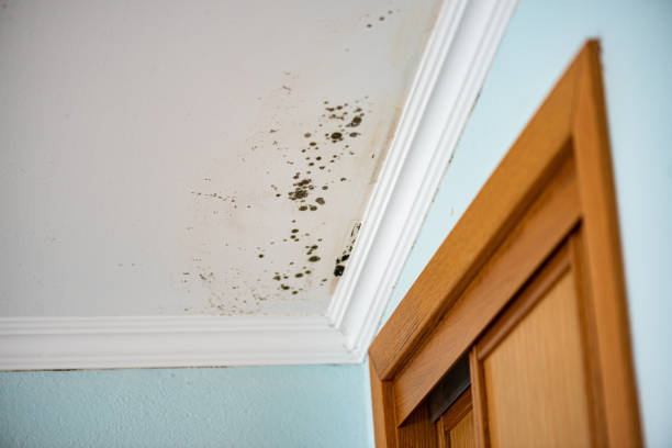 Water Damage Restoration in Washington, IA